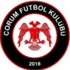Corum Belediyespor U19 队徽